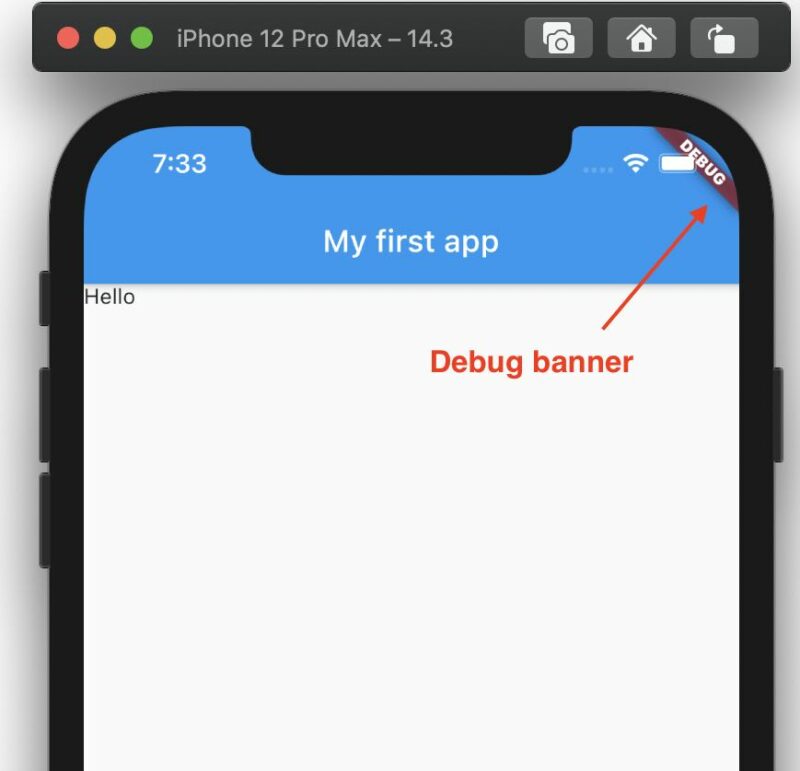 Flutter DEBUG banner