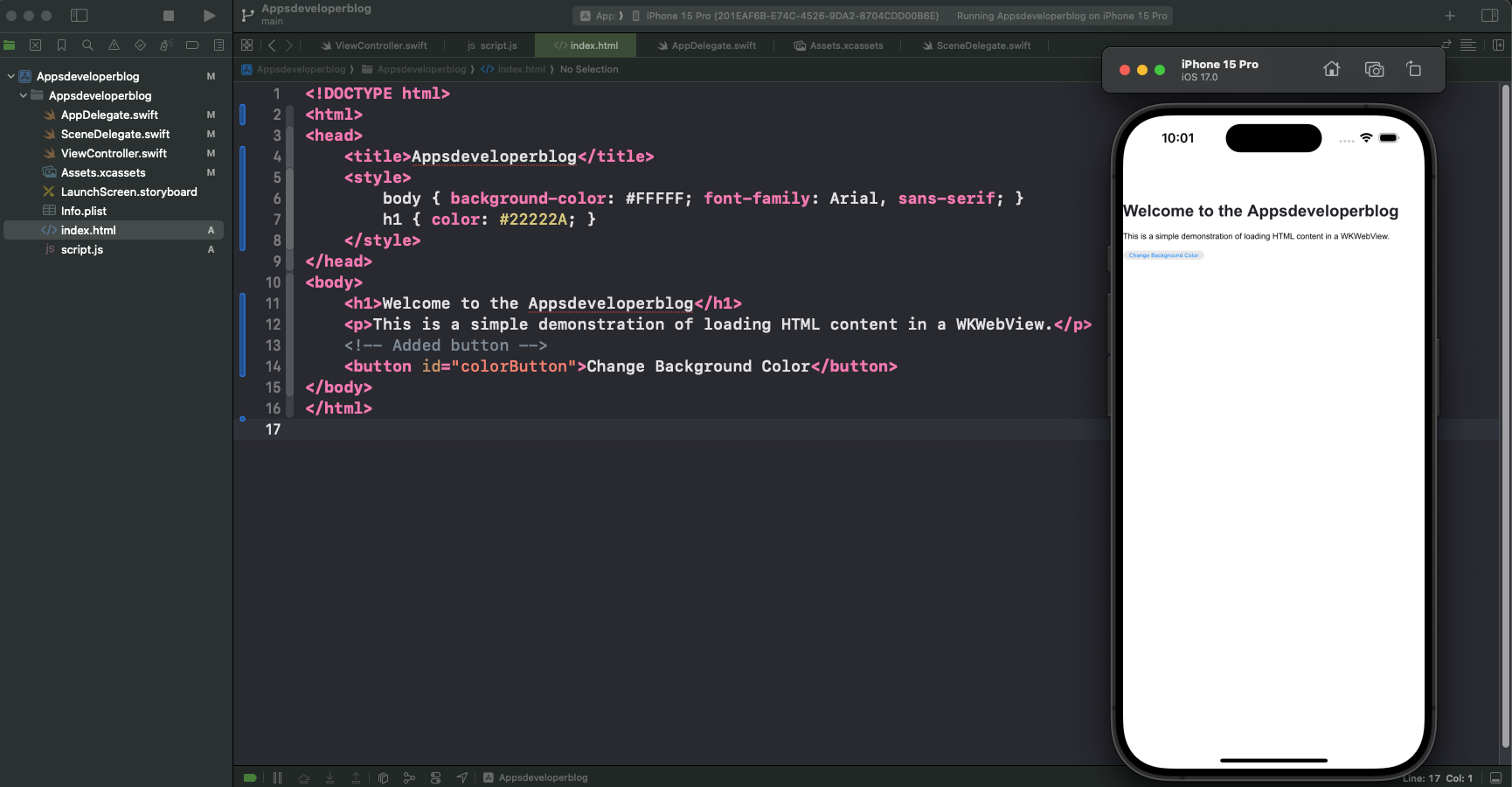 Inject JavaScript into WKWebView - Apps Developer Blog